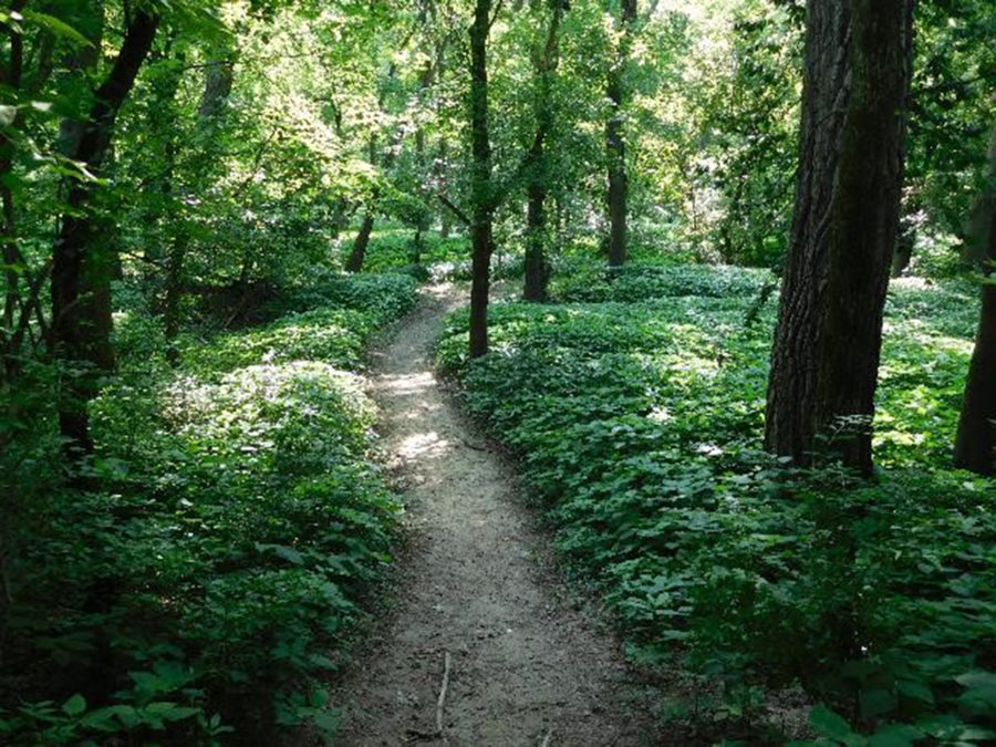 The Preserve at Valley View