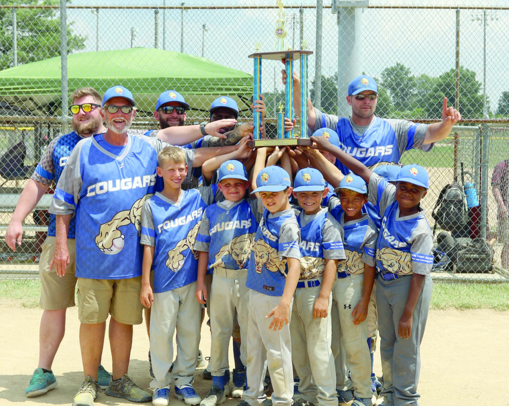 Plaque Build Up  Baseball Revival