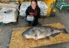 
			
				                                The 101.11-pound blue catfish is the largest catch on record in Ohio. Photo provided by the Parker family.
 
			
		
